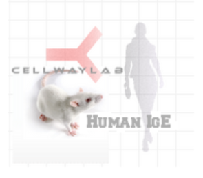 小鼠抗人IgE（Monoclonal Mouse Anti-Human IgE）