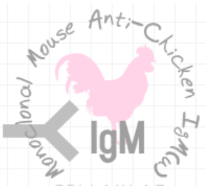 小鼠抗雞IgM（Monoclonal Mouse Anti-Chicken IgM(u)）