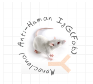 小鼠抗人IgG(Fab)（Monoclonal Mouse Anti-Human IgG(Fab)）